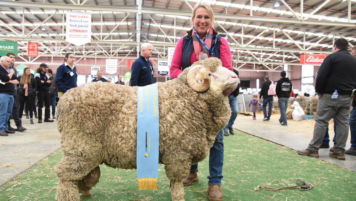 TREFUSIS TRIUMPH: Trefusis Merino stud principal Georgina Wallace, Ross, Tas, was over the moon after winning grand champion superfine ram at Bendigo. The ram has already gone to an AI centre. Photo by Ruby Canning.