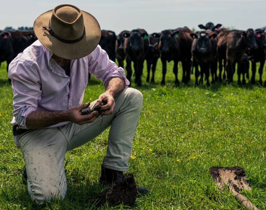 HEALTHY SOILS: Sam Trethewey checks a soil sample on his farm near Deloraine in Tasmania where regen ag methods have been adopted. 