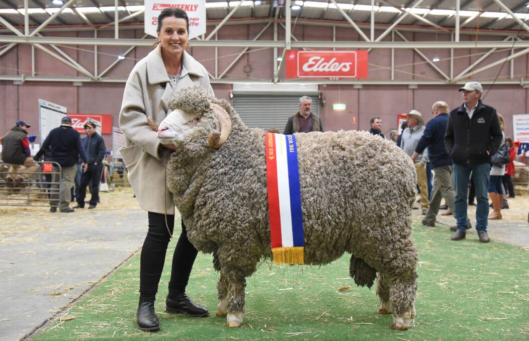 GLENPAEN MAGIC: Sue Miller holds Glenpaen stud's champion fine wool ram which went on to take supreme.