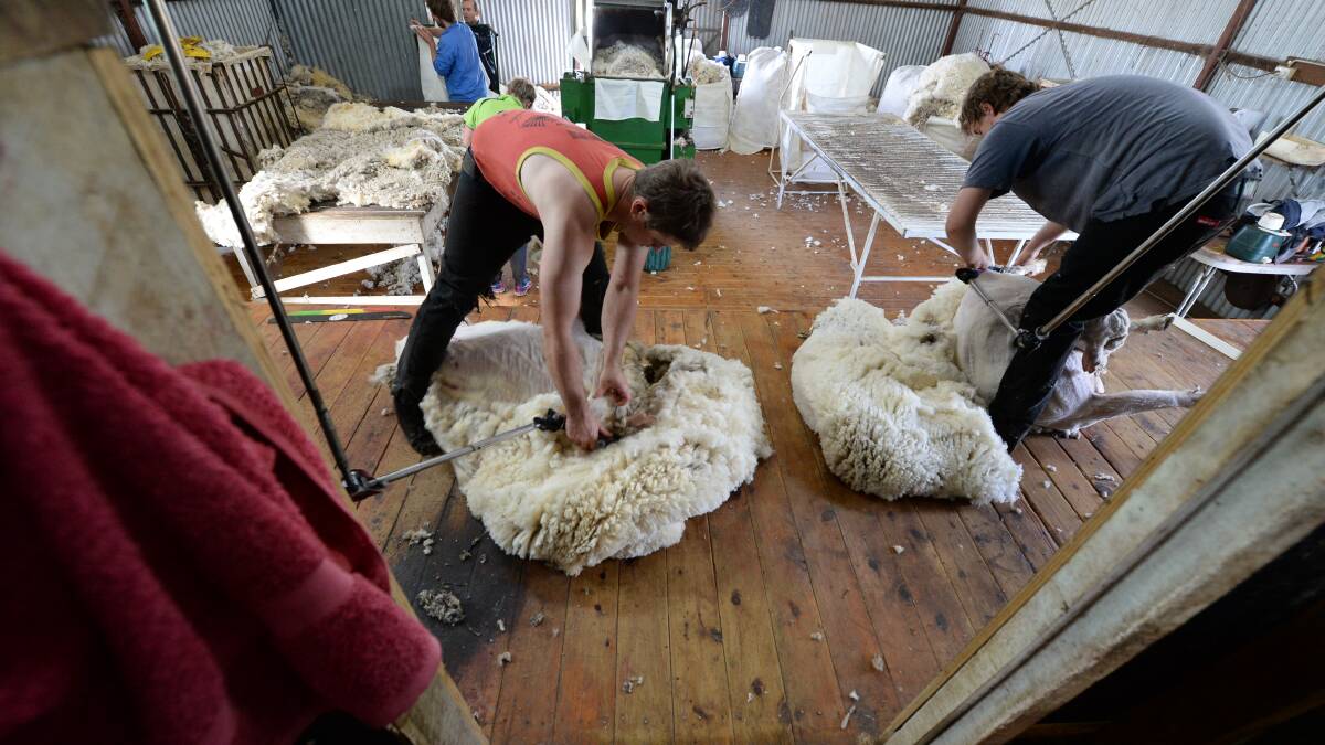 Wool market takes a backwards step, again