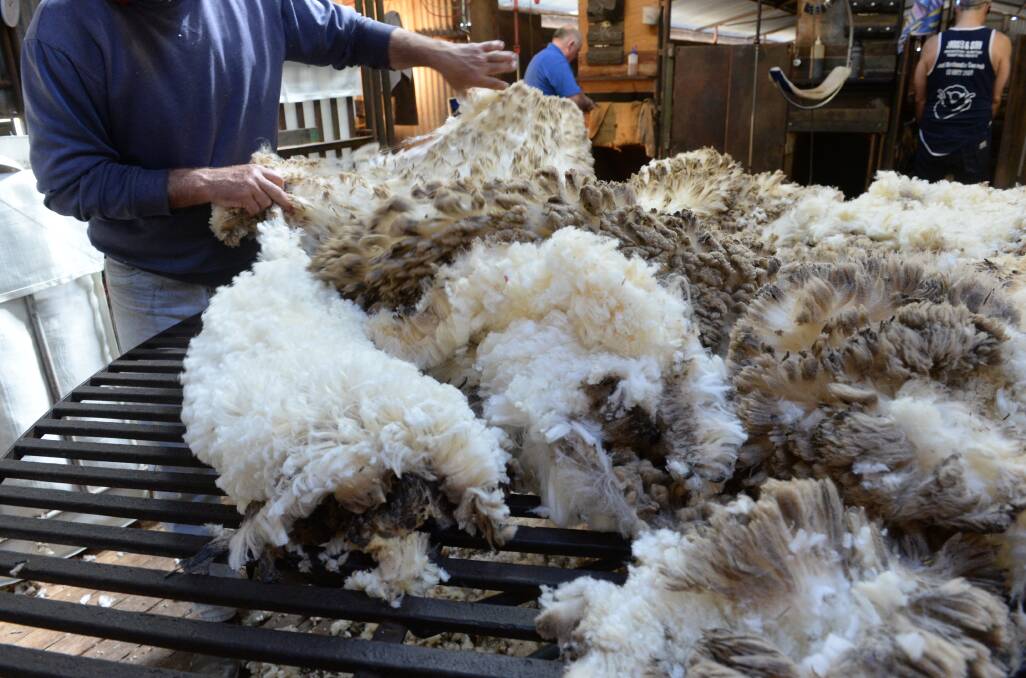 FINE CUTS: The increased trend of finer wool flowing through into the market will continue in the short term, but no great increase in premiums is predicted due to the poorer quality offered. 