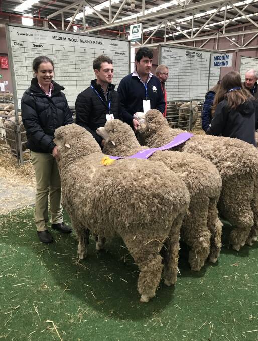 GROUP OF THREE: Oakbank Poll stud, Gre Gre North, won the best exhibit of three Poll Merino sheep with Willandra stud, Jerilderie, NSW, in second place. 