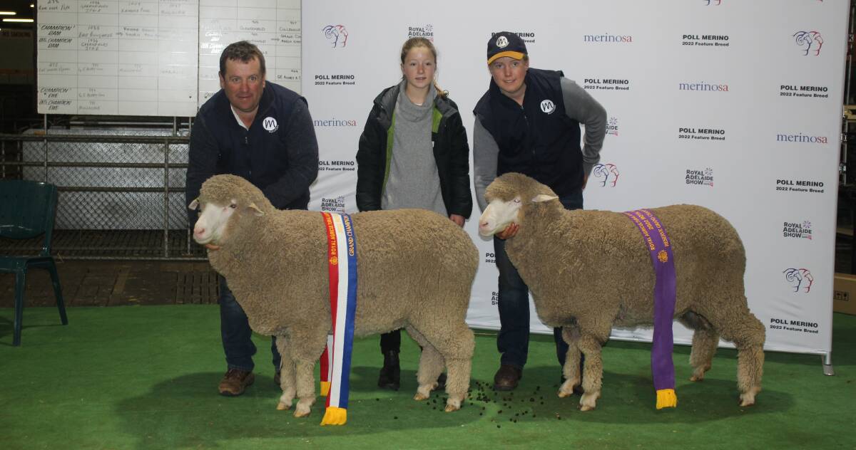 Paul, Lara and Clancy Meyer of Mulloorie stud, Brinkworth and Tintinara, SA with the grand and reserve grand champion March shorn Merino ewes of the Royal Adelaide. 