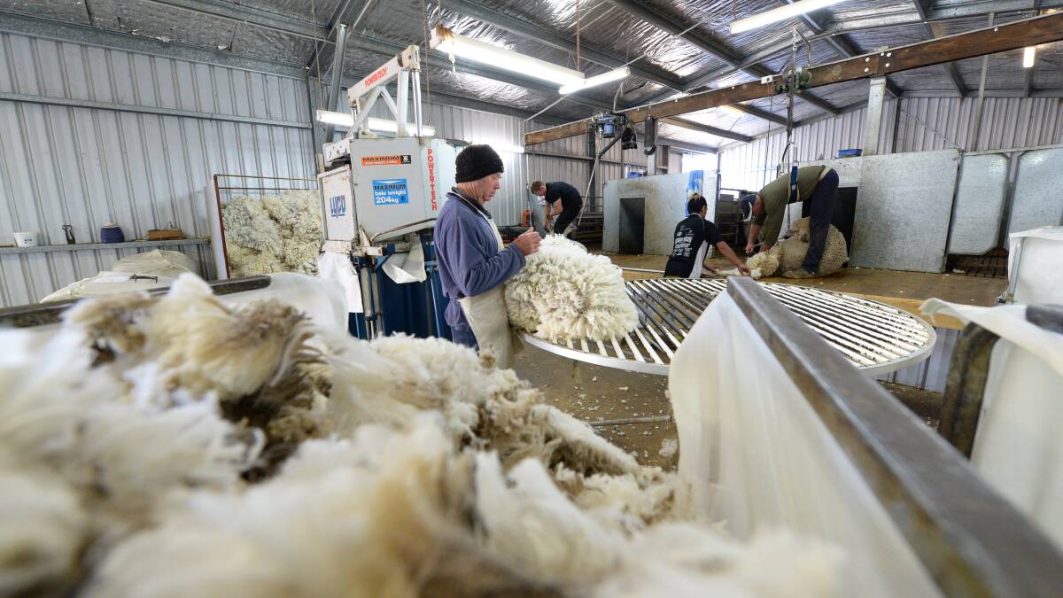 PRICE DROPS ACROSS THE BOARD: Individual Merino fleece Micron Price Guides (MPGs) across the country reduced by between 21 and 46c and the losses were felt across the entire spectrum.