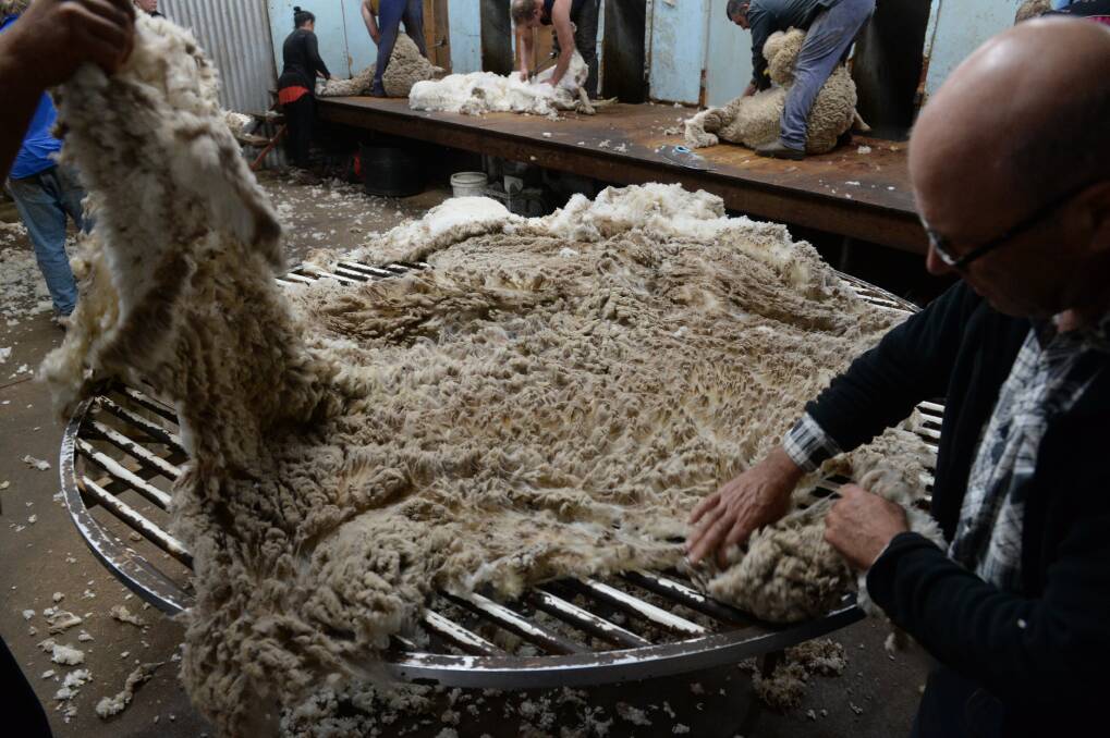 Impacts of slow global retail sales continue to create bumps throughout the wool supply chain back to growers.
