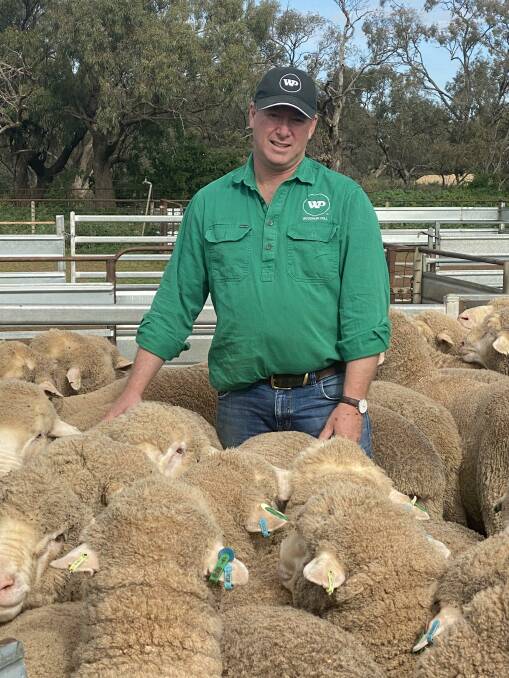 Stephen Huggins, principal of Woodpark Poll Merino stud, south-east of Hay, NSW, standing in the yards with some of the stud's young rams.