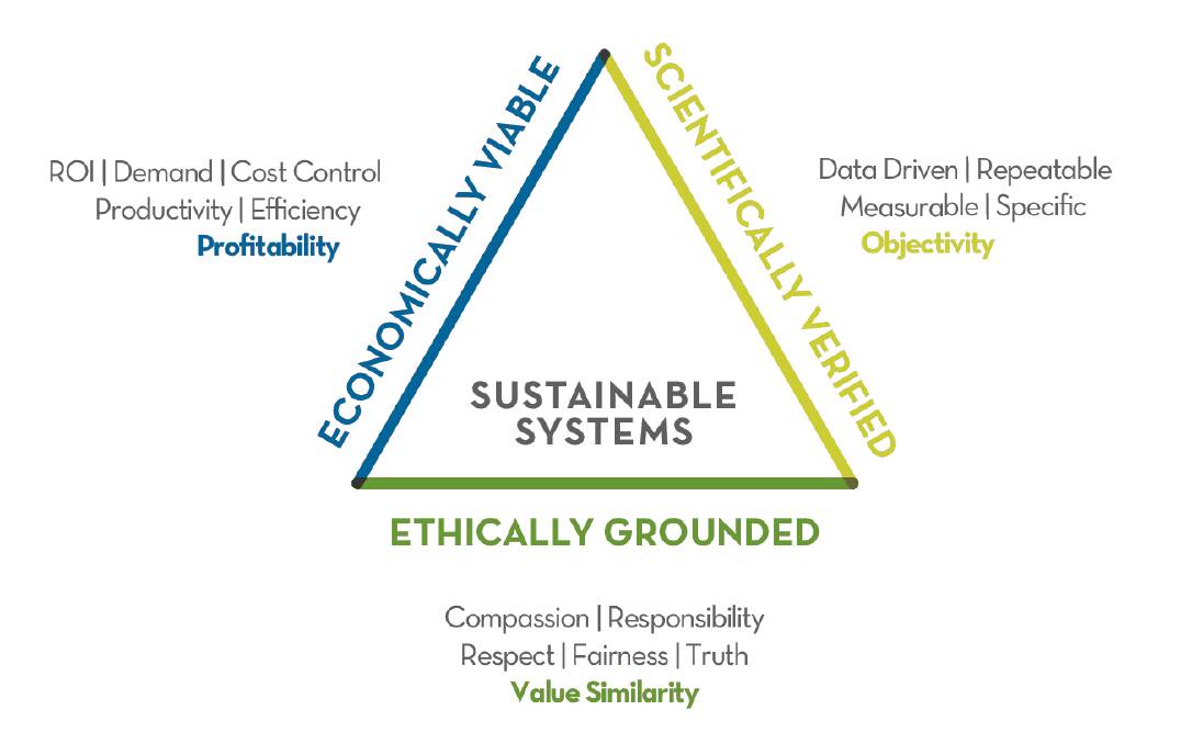 Figure 2. Value similarity - how feelings and beliefs through ethics contribute to sustainable systems.