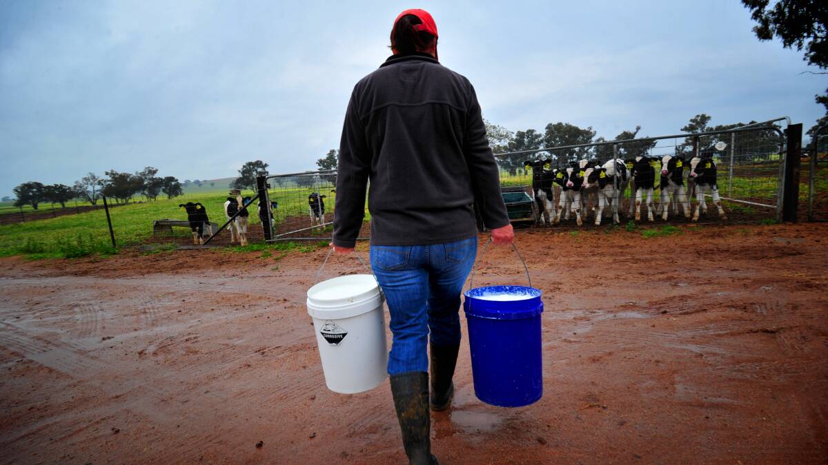 Tertiary scholarships on offer for students in dairy communities