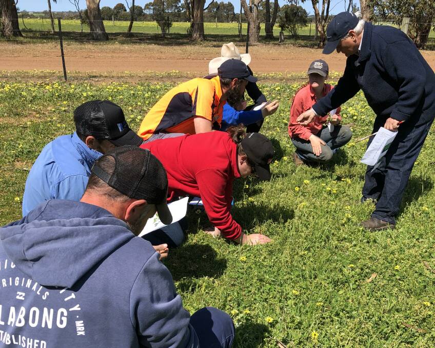 IN DEPTH: Department of Primary Industries and Regions consultant David Woodard, pictured right, will be helping local livestock producers with their pastures. Photo: SUPPLIED