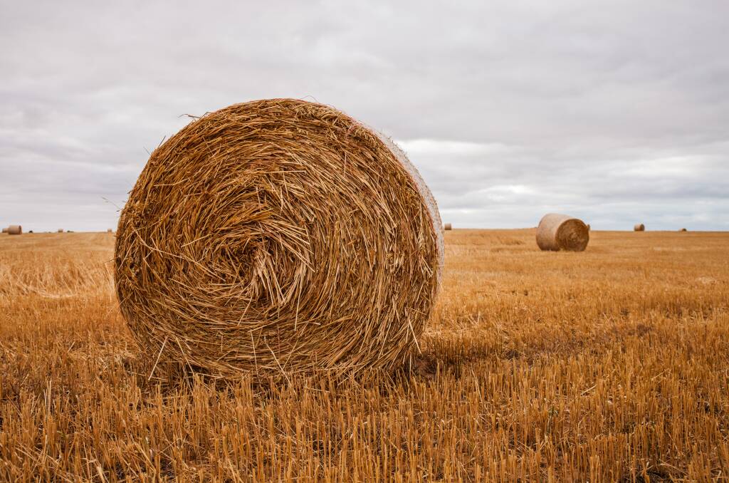 Hopefully, the latest rains have not slowed baling as farmers look to be completed before Christmas. Photo - supplied.