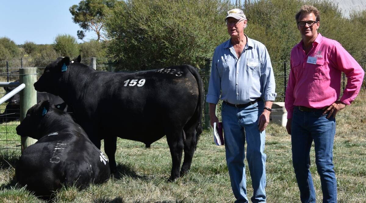 Second-highest price bull purchaser Ian MacLeod, Woodstock, NSW, who paid $28,000 late in the sale for Te Mania Morell M1425, with Te Mania's Tom Gubbins.