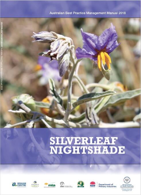 How to manage silverleaf nightshade infestations