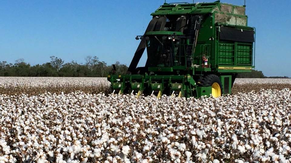ABARES found in the Southern Basin there was an increase in demand of around 400 gigalitres each for cotton and almonds, for water at a fixed price of $200/ML in 2018/19 compared to 2005/06.