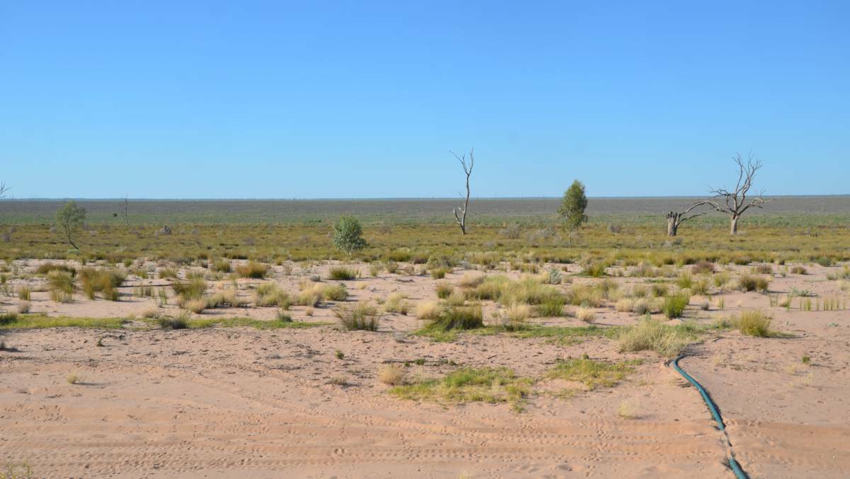 This is what Lake Menindee has looked like for the last five years. 