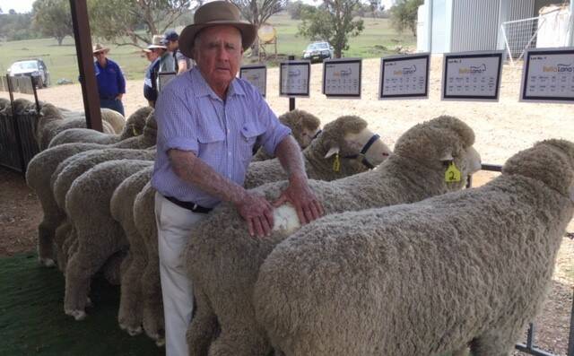 Genetic selection could solve the mulesing mystery and lead to super sheep