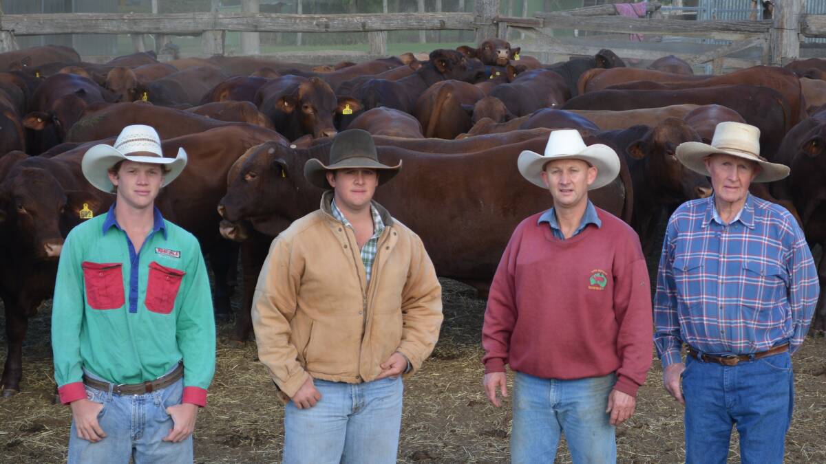 Three generations of Greenups with Rosevale Sale Bulls. Pictured are grandsons Seb and Sam, with dad David and grandfather Grahame.