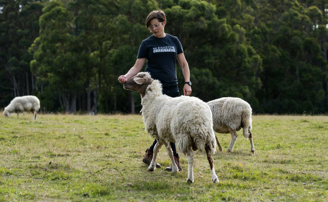 Grandvewe executive director Nicole Gilliver with some of the sheep on their Birchs Bay farm. 