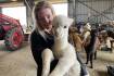 Alpaca breeders set up mill to address market gap
