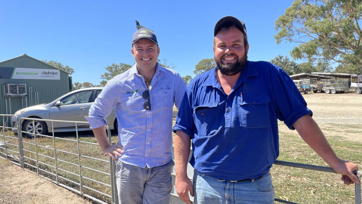 READY: Buyers Simon Prior and Will McCarthy at the Mount Pleasant, SA, sheep market last month.