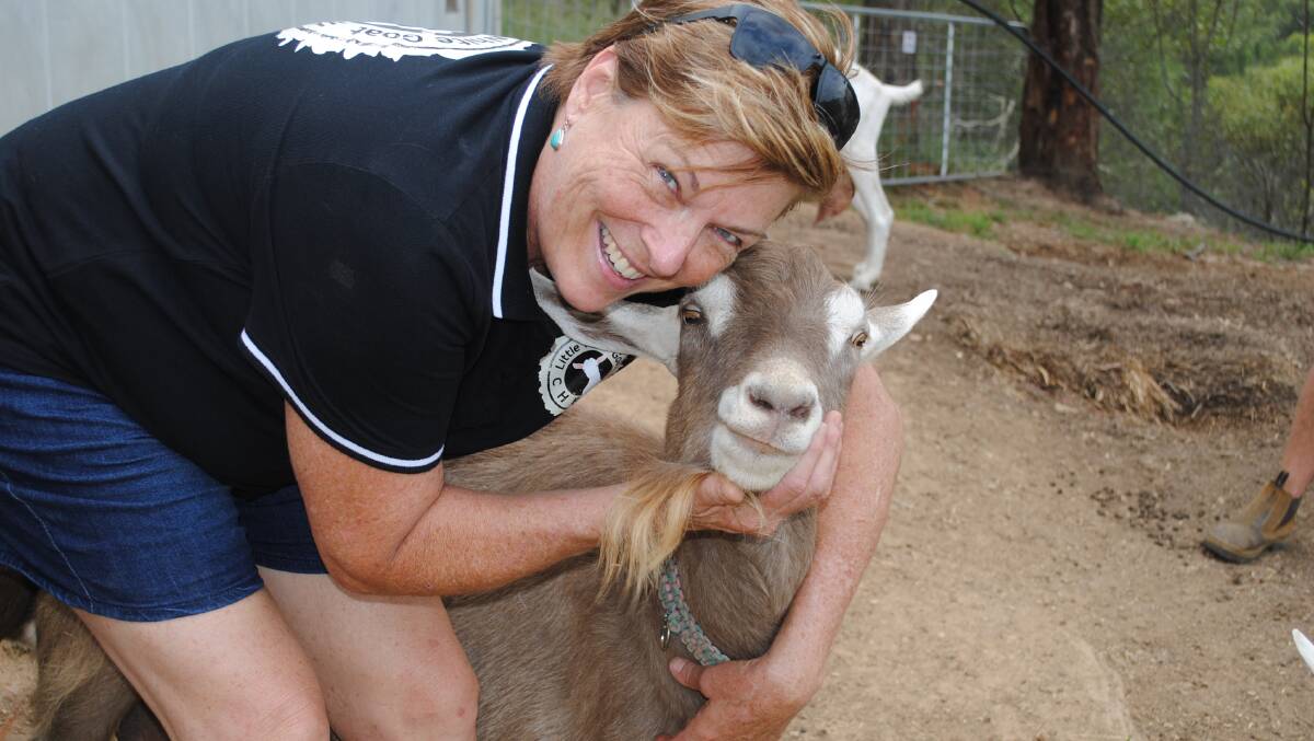 Karen Lindsay with one of the goats on her Wamuran farm. Picture by Victoria Nugent. 