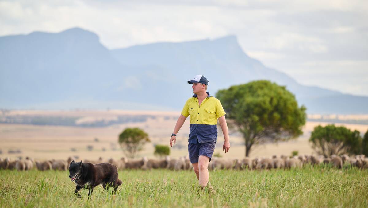 WA sheep and grain farmer Jamie Spence is among those who desperately want the live sheep trade to be retained. 