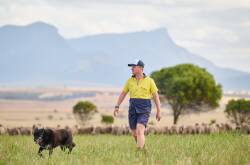 WA sheep and grain farmer Jamie Spence is among those who desperately want the live sheep trade to be retained. 