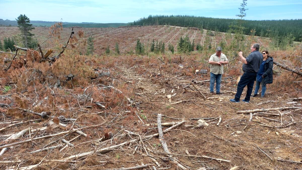KI ESTATE: Biochar and forestry directors visited Kangaroo Island recently to inspect damaged forestry lands. Photo supplied 