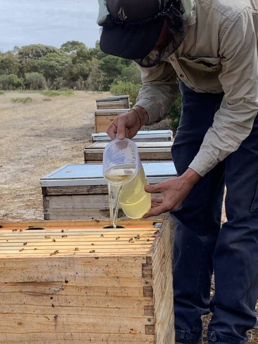 Supplementary feeding of beehives on Kangaroo Island after the summer bushfires. Photo KI Beekeepers Group 