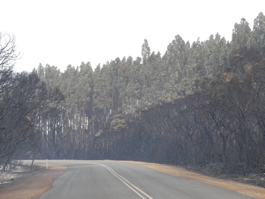 The Playford Highway at Gosse the day after where two Kangaroo Island residents were killed by the bushfire on January 3. 