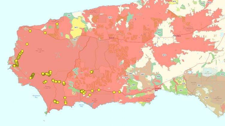 The yellow dots represent known green carpenter bee nests. In red: the area burnt in 2020. Only a subset of the remaining green and yellow patches still have the right vegetation for the green carpenter bee. Image: Nature Maps SA/Remko Leijs 