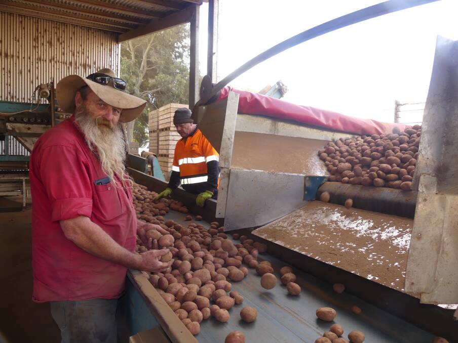 Photos of potato harvesting on Kangaroo Island