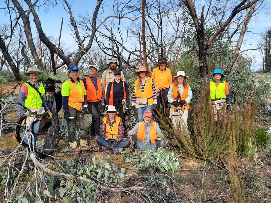 WEED VOLUNTEERS: Some of the volunteers tackling the problem of invasive Tasmanian blue gum seedlings that have sprung up around Kangaroo Island's burned timber plantations. Photo supplied 