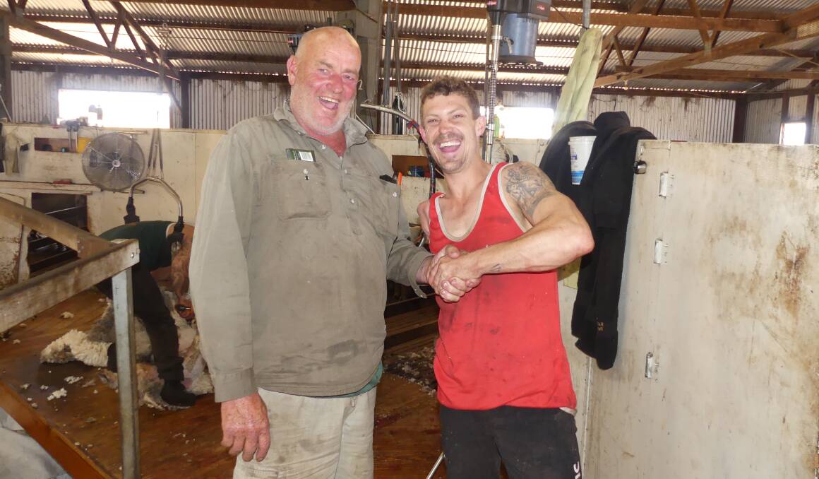 Photos of Josh at work in the shearing shed