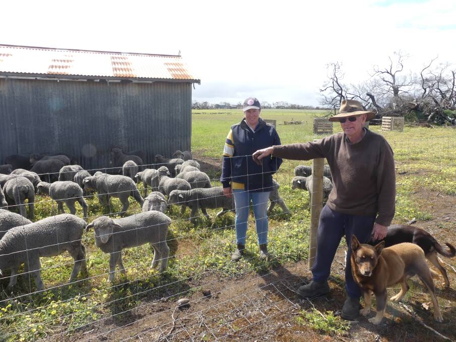 NEW GENERATION: Hannah Robins and her father John Symons and their sole surviving dog Jackson in front of all the hand-reared lambs. Photo Stan Gorton