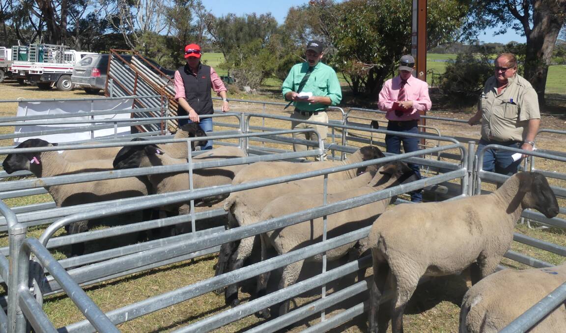 FIRST SALE: First-time auctioneer Dusty Cross from Nutrien, stock agent Stuart Were from Elders and Suffolk ram breeder Malcolm Schaefer at the Skallemaro auction. Photo: Stan Gorton 