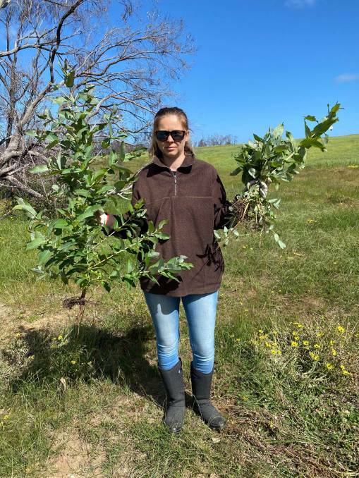 SAPLINGS SPREAD: Sabrina Davis with suspected blue gum seedlings pulled from creek lines on her farm off Church Road in November. Photo supplied 