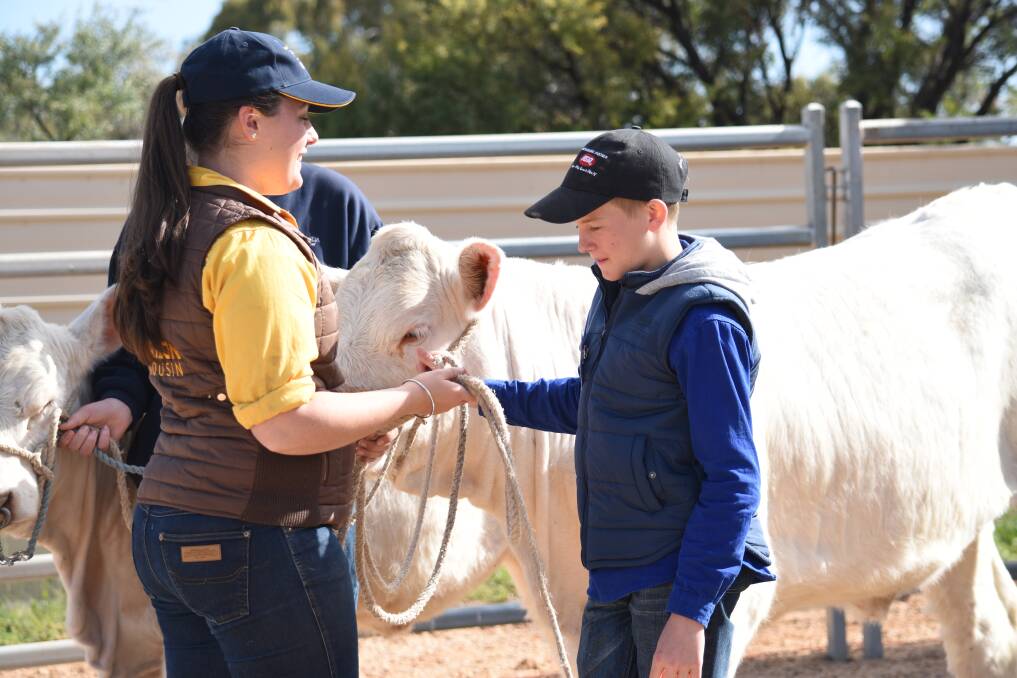 Gumview and Gotta-Do-Well Charolais hosted a cattle showing education day for schools in the region.