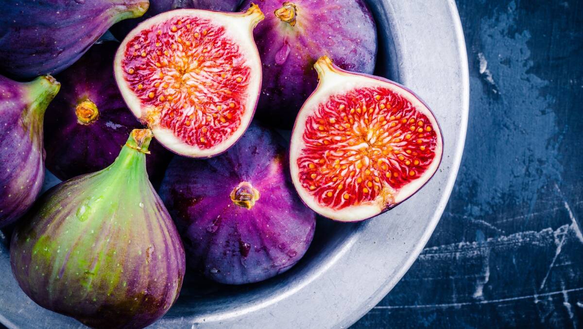 NEW PRODUCTS: Research and development will soon begin to create fig wine and fig vinegar in SA.