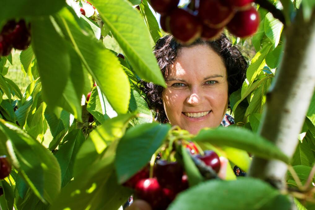 LOOKING AHEAD: The Horticulture Coalition of SA president Susie Green is asking the next state government to recognise the horticulture industry's true value. 