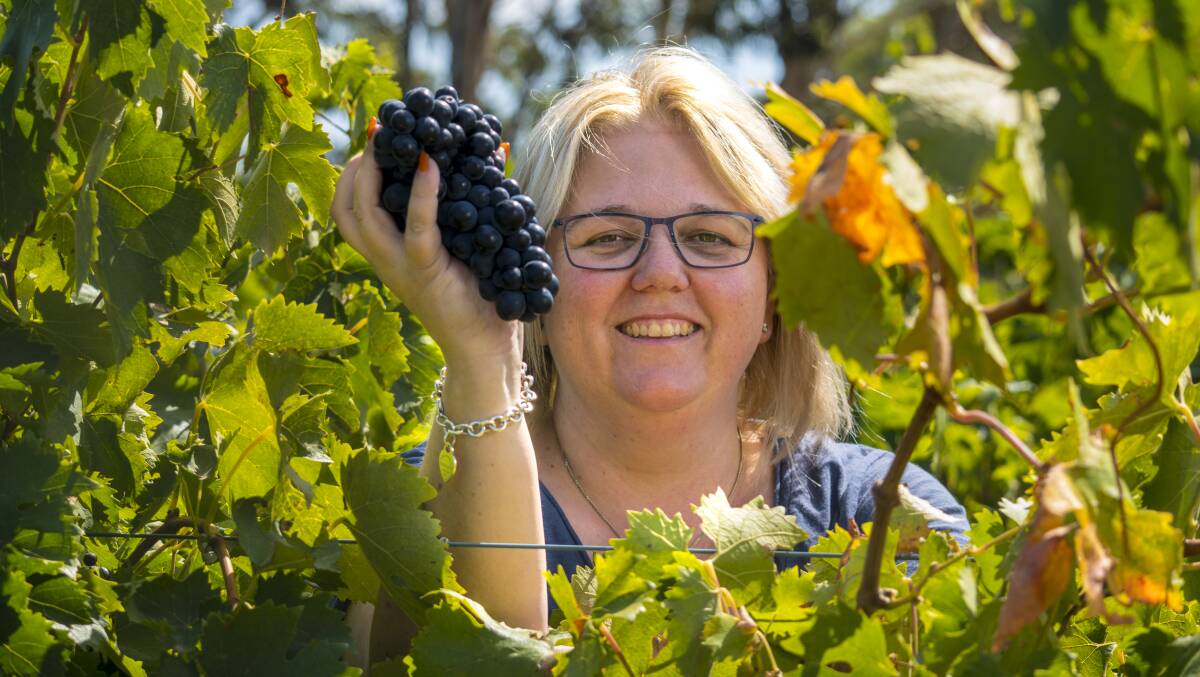 Nicole Clark, Kimbolton Vineyards, Langhorne Creek, says vintage 2018 will be remembered for its outstanding quality.