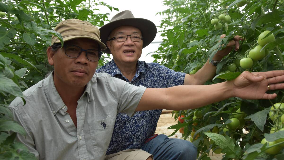 TOP CROP: Penfield Gardens tomato grower Dung Huynh with Vietnamese Farmers Association executive assistant to the president Ly Le.