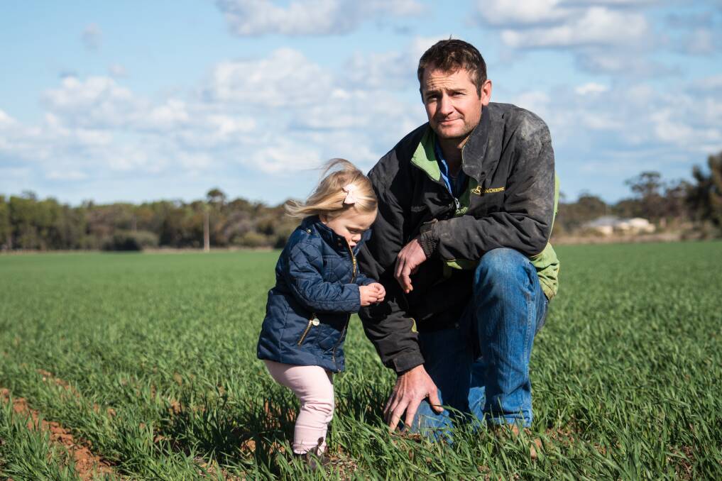 POSITIVE OUTLOOK: Koolunga farmer Leigh Fuller with his 1.5-year-old daughter Evie in Scepter wheat in early July, which was now at GS39 after 22mm in August.