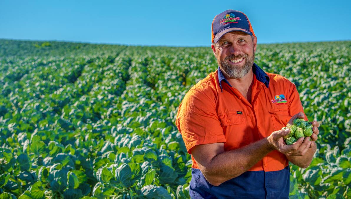 VEGIE DELIGHT: Scott Samwell, Eastbrook Vegetable Farms, Mount Barker, has been named Ausveg SA's grower of the year.