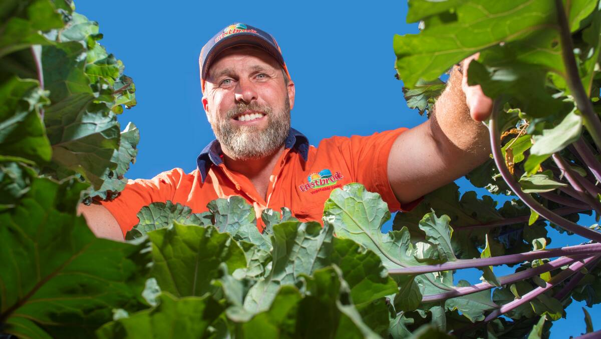 IN THE RUNNING: Eastbrook Vegetable Farms' grower Scott Samwell won the Ausveg SA grower of the year title, and is a nominee in the national grower of the year awards.