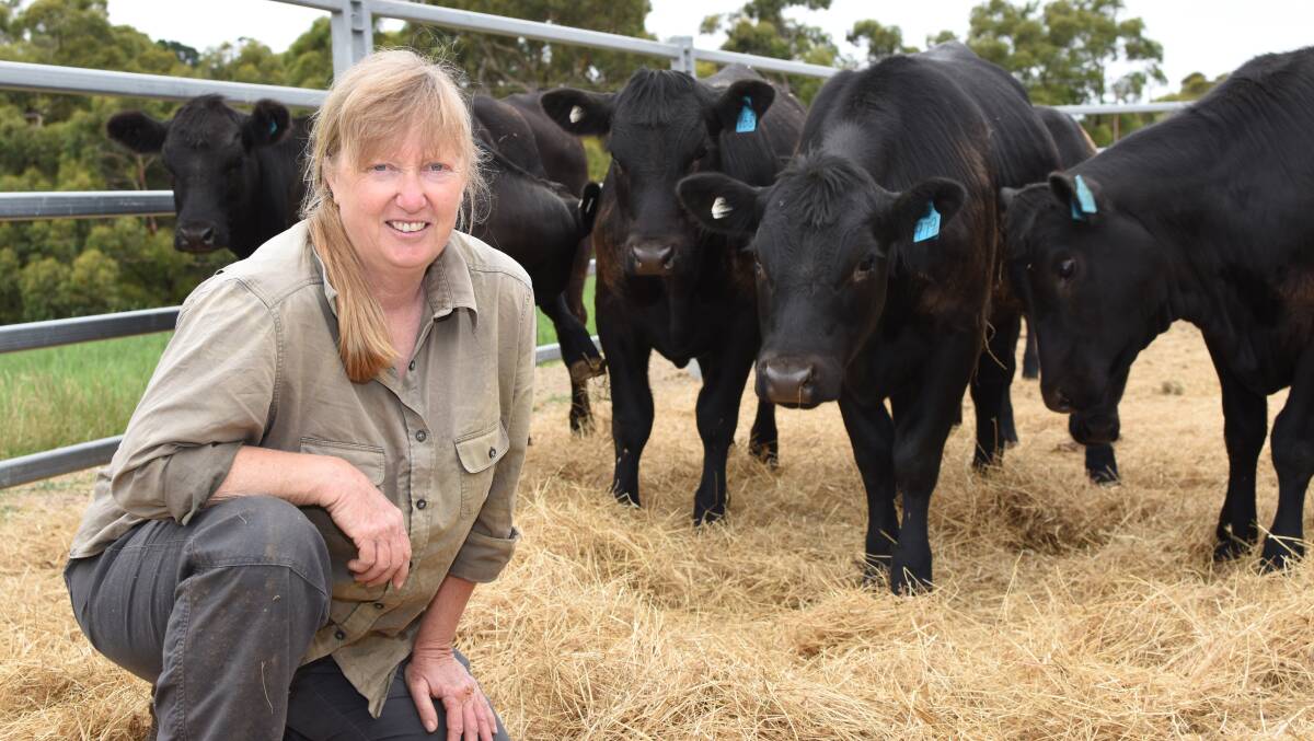 TOP STOCK: Janet Furler, Myponga, says a calm attitude goes a long way when producing quality Angus cattle, such as these heifers.