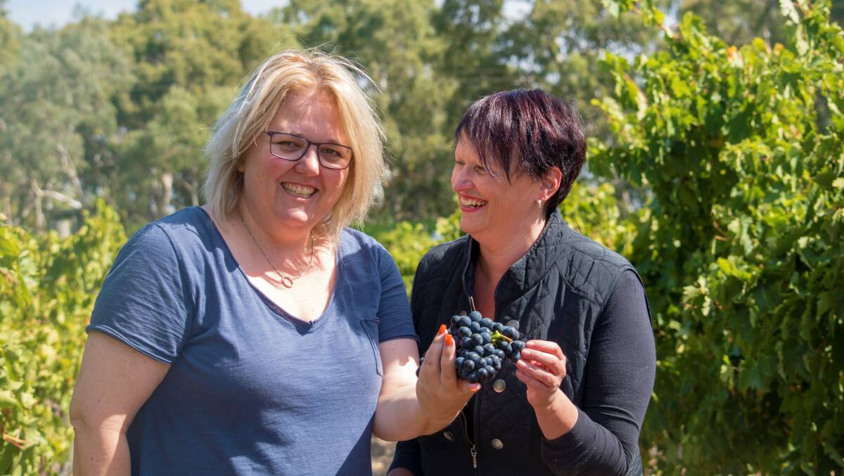 Nicole Clark and Wine Grape Council SA business manager Lisa Benner, inspect some grapes at at Nicole's Langhorne Creek vineyard.