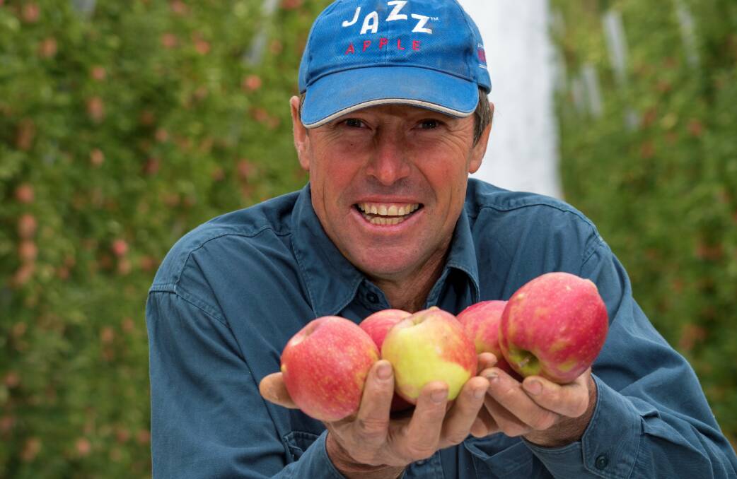 Forest Range apple grower Stephen Mason showcases some hail-damaged Fuji apples, which will hopefully begin to appear on supermarket shelves soon. 