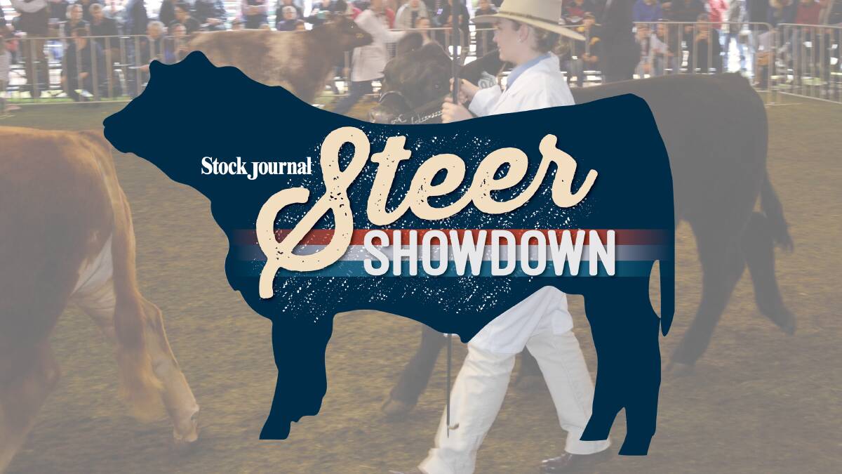 Show us your steers