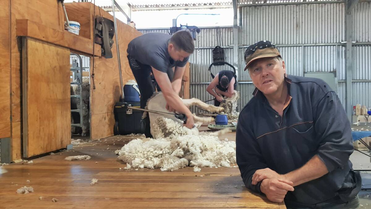 UNDERCOVER VALUE: Radnor co-principal Steve Koehler, with shearer Kyle Duell, says the premium money in wool is for product suited to undergarments.