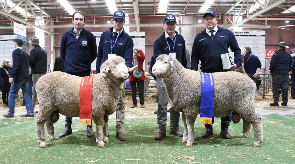 All-purpose Merino judge Klay Smith, Glenville Merino stud, Cowell, SA, with Ollie Cameron, Tom Lilburne and Justin Campbell, Wanganella and Poll Boonoke Merino studs, NSW, with the all-purpose Merino reserve and grand champion rams at Bendigo. Picture by Jess Parker